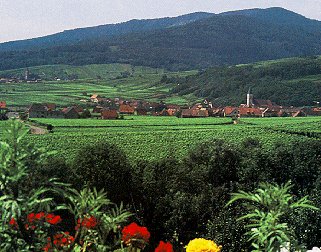 The Route de Vin in Alsace.