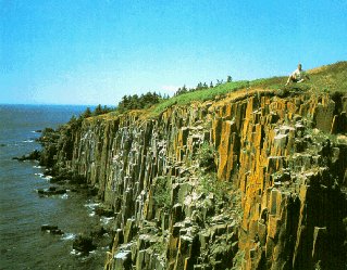 The rugged cliffs along the Bay of Fundy.