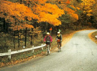 Fall foliage in the Berkshires.