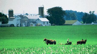 An Amish farm in Lancaster County.