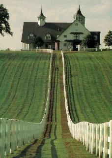 A Kentucky horse farm.