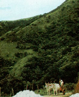 View of Costa Rica.