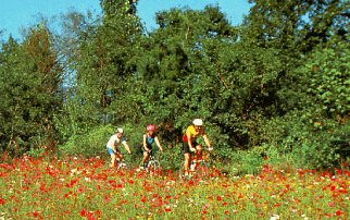 Cycling in the country.