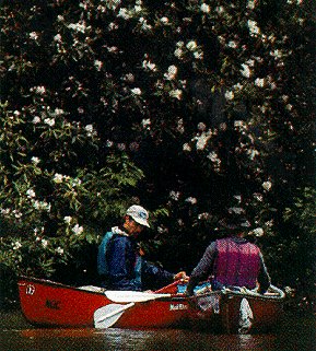 Families enjoy scenery while learning to canoe.