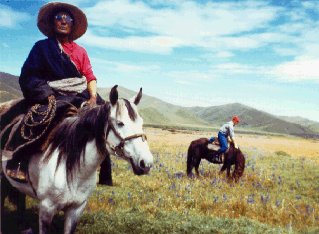 Wildflowers and grasslands of eastern Tibet.