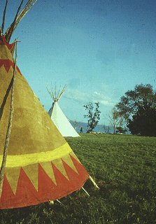 Participants stay in traditional dwellings.