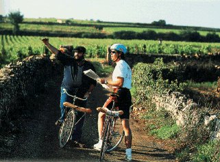 Pausing for directions in a Burgundy vineyard.