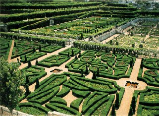 The exquisite gardens of the Loire Valley.