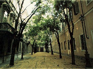 A tree-lined street in northern Italy.