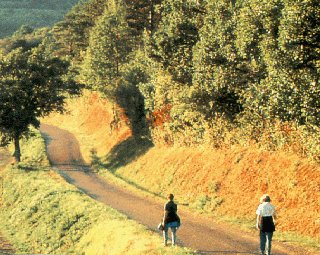 A couple enjoys a walking tour of Burgundy.