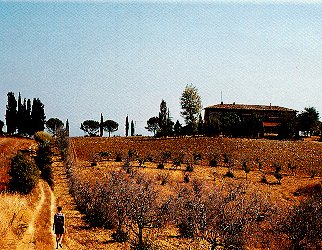 Walking through the hills of Tuscany.