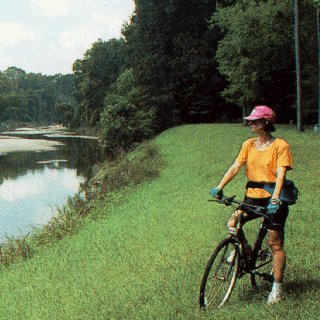 A biker pauses to admire the scenery.