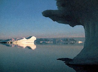 Arctic reflections.