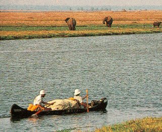 Canoeing on the Zambezi.