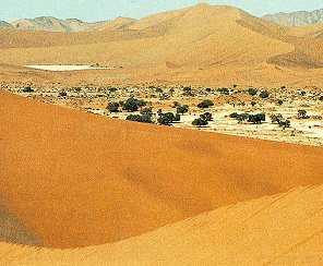 The Gargantuan sand dunes of Namibia.