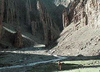 Trekking in the Ladakh Range.