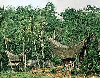 The double-prowed roofs of a Toraja home.