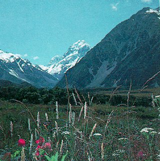 The valleys and peaks of Mt. Cook National Park.
