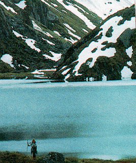 Trekking along the Routeburn Track.