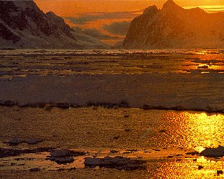 The continent of Antarctica.