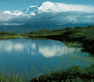 Majestic Mt. McKinley viewed from Denali park.