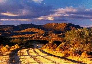 A biker enjoys a ride along the Baja peninsula.