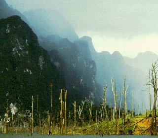 The Khao Sok National Park.