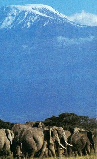 Mt. Kilimanjaro above the African plains.