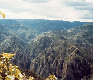 Copper Canyon in Mexico.