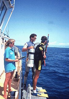 Preparing to enter the ocean off Australia.