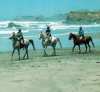 Riding on California's beautiful beaches.