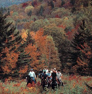 Vermont's famous fall foliage.