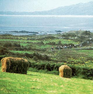 The sea and fields of Donegal.