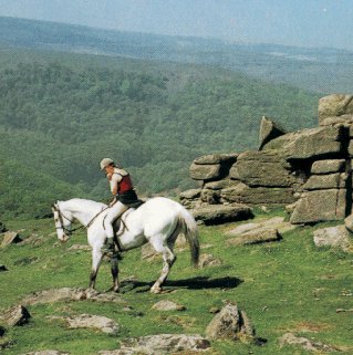 Riding in the English countryside.