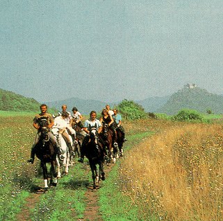 Riders traverse a rural route.