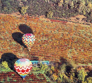 Balloons travel over the Napa Valley.