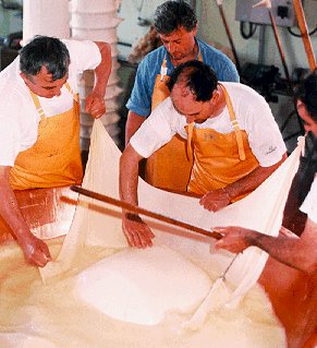 Chefs prepare cheese in Bologna.