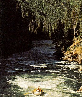 Scenic rafting through the Idaho wilderness.