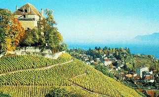 The lake and vineyards of fashionable Montreux.