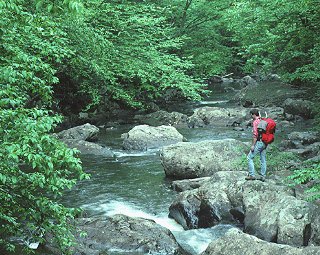 A hiker enjoys the woods of West Virginia.