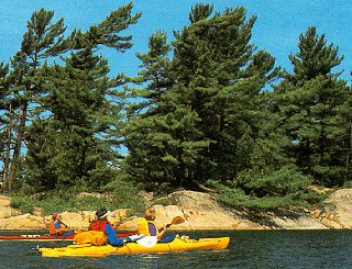 Enjoying a leisurely paddle.