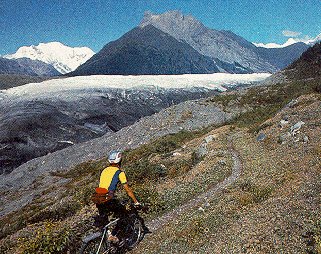 Mountain biking in the Alaska Range.