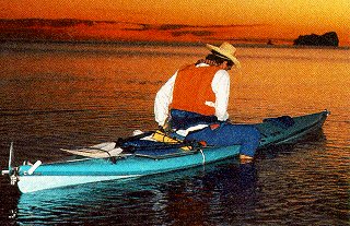 An evening paddle in the Sea of Cortez.