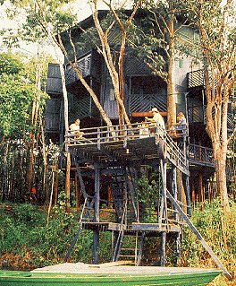 Imagine staying in this Amazonian treehouse.