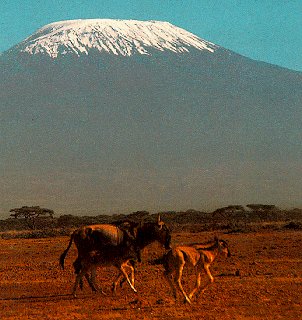 A view of Mt. Kilimanjaro.