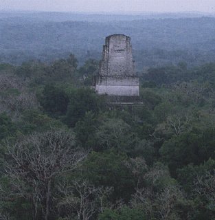 A temple at Tikal rises above the jungle canopy.