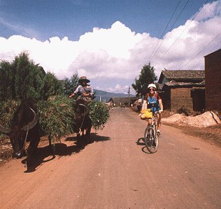 Typical road traffic in Yunnan, China.