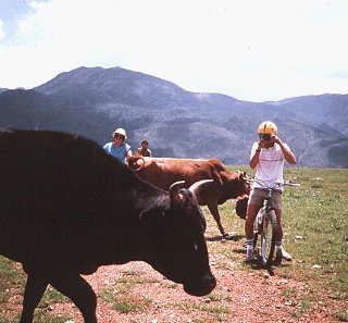 Biking through China.