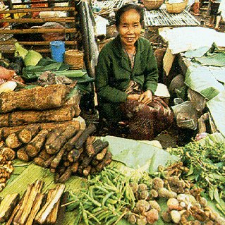 A woman sells her vegetables.