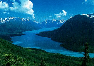 Fish in Alaska's sky-blue rivers.